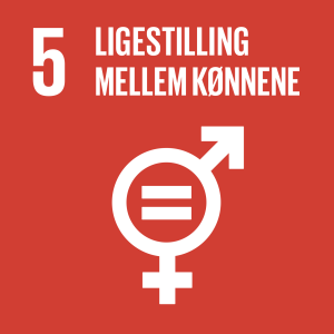 FN verdensmaal 4 ligestilling mellem kønnene