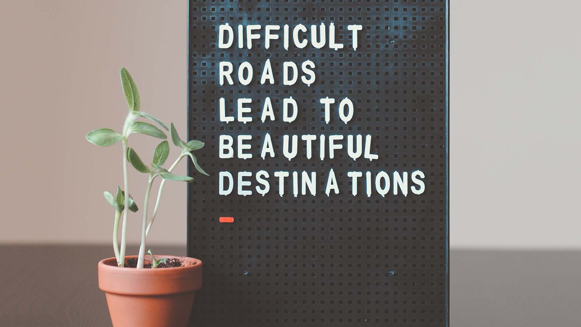 tavleboard om viden hvor der står "Difficult roads leads to beautiful destinations" har en grøn plante ved venstre side